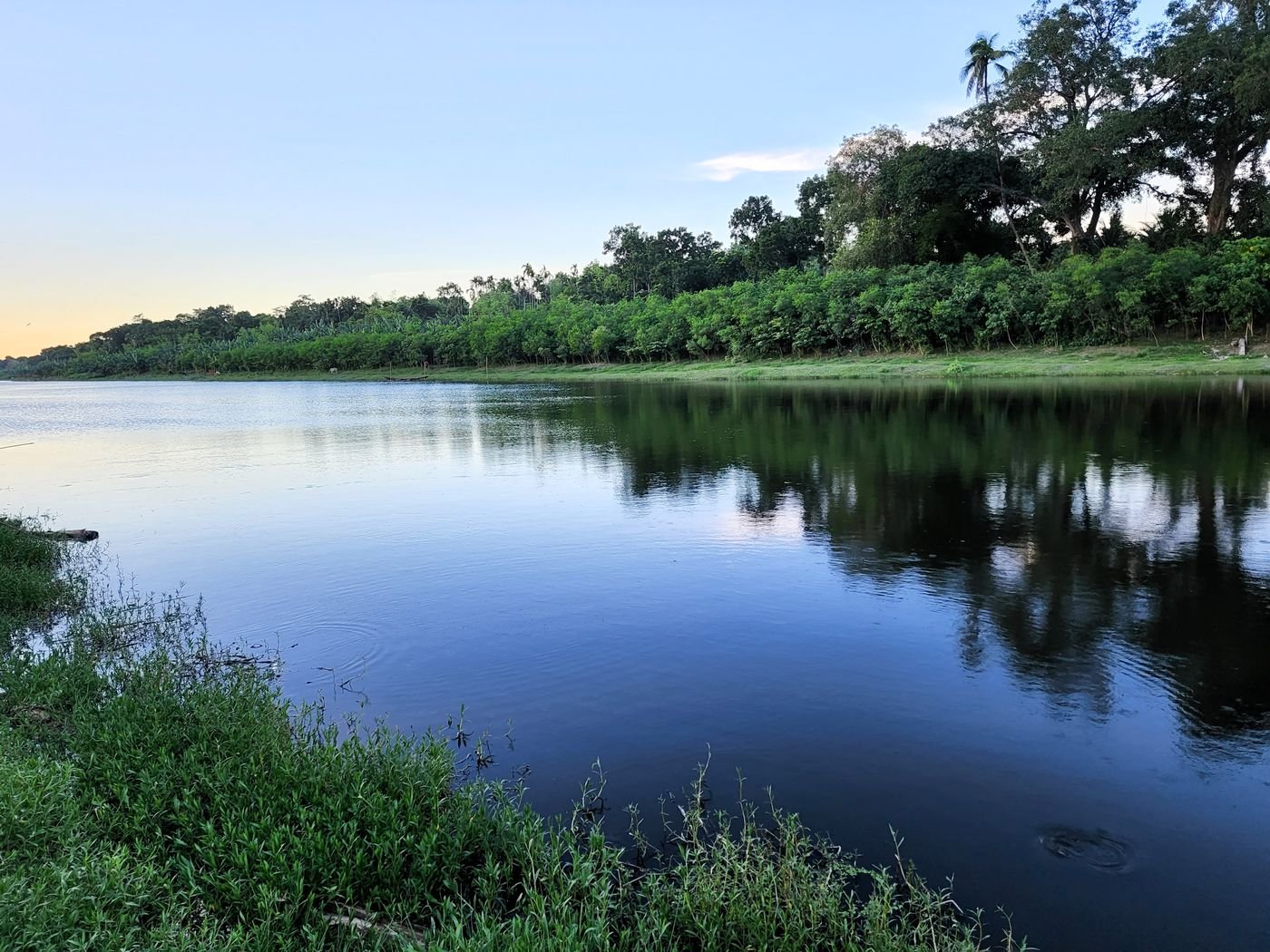 Still water and green banks — the calm our cooling materials aim for