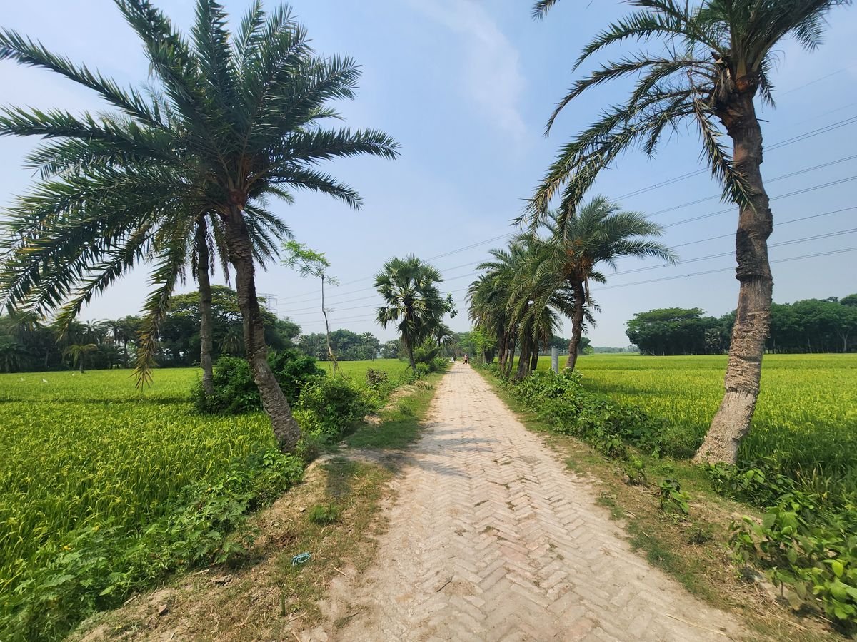Satkhira Hub